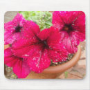 Suche nach balkon mousepads Blume
