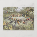 Suche nach vogel karten Jede person