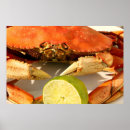 Suche nach crab poster Ozeane