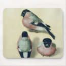 Suche nach duerer mousepads Wasserfarbe