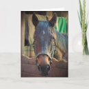 Suche nach pferdebild karten Für alle