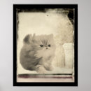 Suche nach abgenutztes poster Tierisch