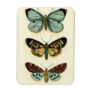 Suche nach tiere magnete Insekten