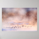 Suche nach hokkaido poster Winter