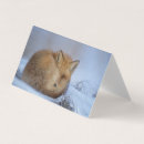 Suche nach fox karten Begrüßung