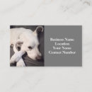Suche nach lustige hunde visitenkarten Jede person