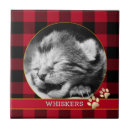 Suche nach rote katze fliesen Kätzchen