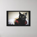 Suche nach schwarze katze leinwandbilder Kätzchen