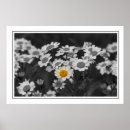 Suche nach spezielles poster Natur