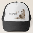 Suche nach hasser kappen Hund