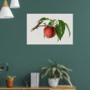 Suche nach köstlich poster Obst