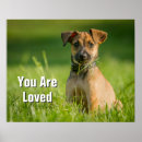 Suche nach jack russell kunst Welpe