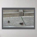 Suche nach treppe poster Fotografie