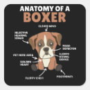 Suche nach anatomie aufkleber Hundebesitzer