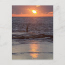 Suche nach der libanon postkarten Fischfang