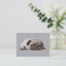 Suche nach mops kleine grußkarten Liebhaber