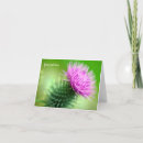 Suche nach schottische distel karten Blumig