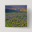 Suche nach prarie buttons Park