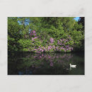 Suche nach rhododendren postkarten Blume