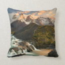 Suche nach argentinien kissen 2015