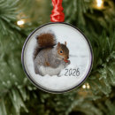 Suche nach eichhörnchen ornamente Winter