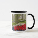 Suche nach keukenhof tassen Europa
