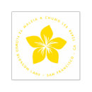 Suche nach plumeria blume Hawaiianisch