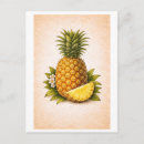 Suche nach vintage ananas postkarten Antike