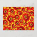 Suche nach bündel postkarten Rot