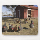 Suche nach hühnerstall mousepads Bauernhof
