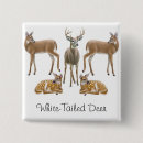 Suche nach rotwild buttons Dollar