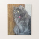 Suche nach graue katze puzzle Jede person
