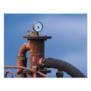 Suche nach spatz poster Foto