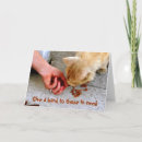 Suche nach tierrettung postkarten Tiere