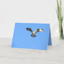 Suche nach eitelkeiten karten Vogelvogel