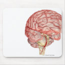 Suche nach menschlicher körper mousepads Teil