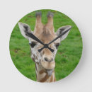 Suche nach lustige giraffe wanduhren Niedlich