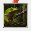 Suche nach south america ornamente Regenwald
