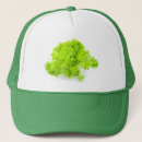 Suche nach salat kappen Gesund