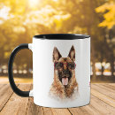 Suche nach deutscher tassen Gsd
