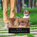 Suche nach king visitenkarten Hund