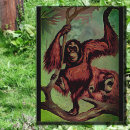 Suche nach orang utan postkarten Für ihn