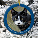 Suche nach pet ornamente Hundewelpen