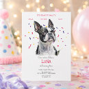 Suche nach boston terrier einladungen Hunde