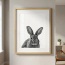 Suche nach weißes kaninchen poster Druck