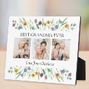 Suche nach botanisch fotoplatten Wildblumen