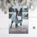 Suche nach kleiner hund karten Haustier