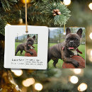 Suche nach hundefoto schmuck Einfach