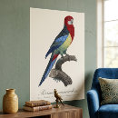 Suche nach rosella poster Parkett