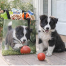 Suche nach border collie taschen Hundefreund